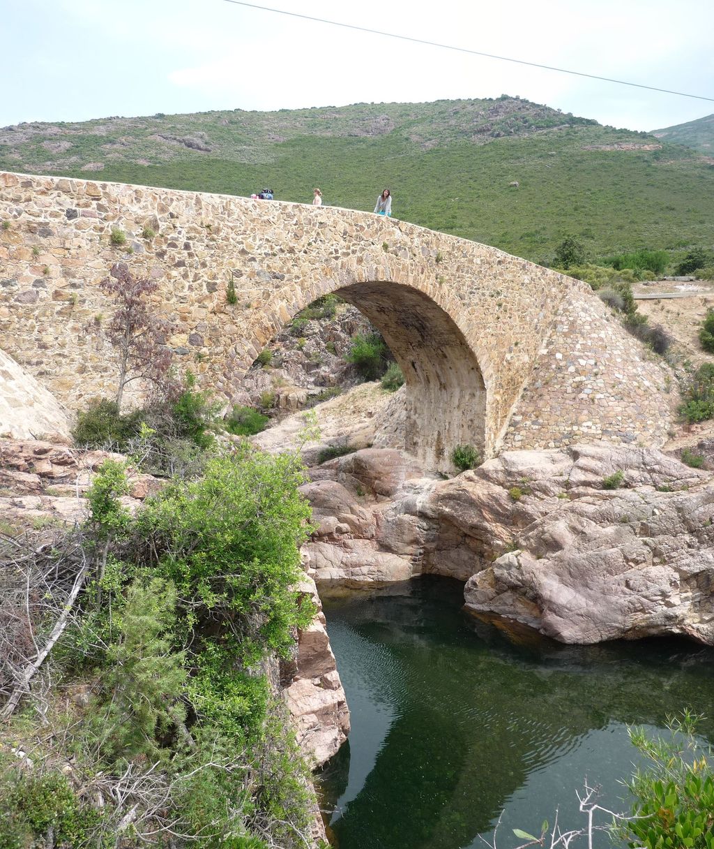 P1090730_stitch